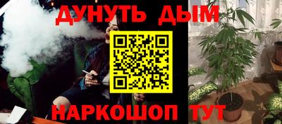 скорость Новозыбков