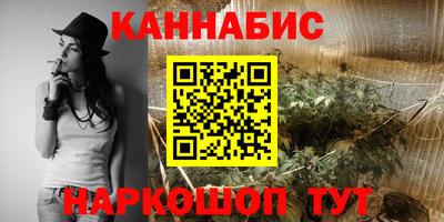 скорость Новозыбков