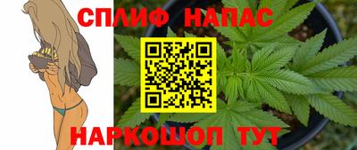 скорость Новозыбков
