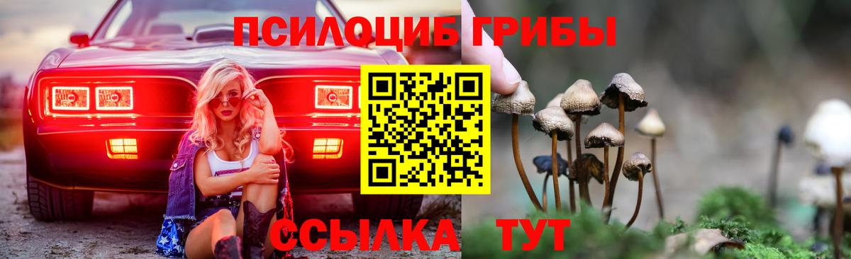 Галлюциногенные грибы MAGIC MUSHROOMS Саянск